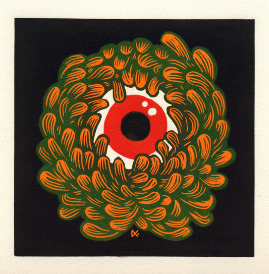 Chrysanthemum oculus